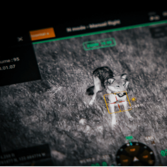 news-and-updates-press-win-the-wall-street-journal-coverage-aerial-allies-wolf-drone-hazing